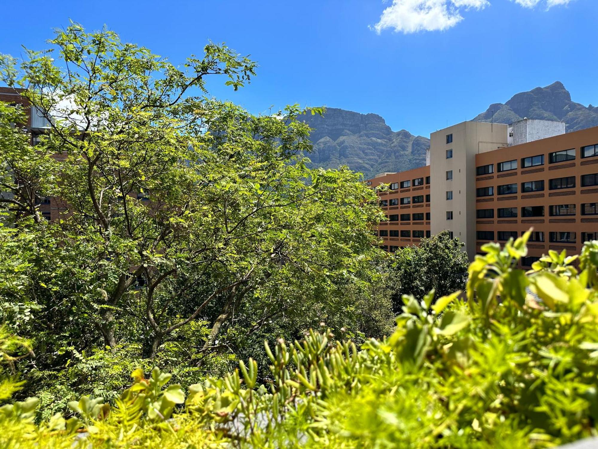 Newlands Peak Apartments Cape Town Luaran gambar